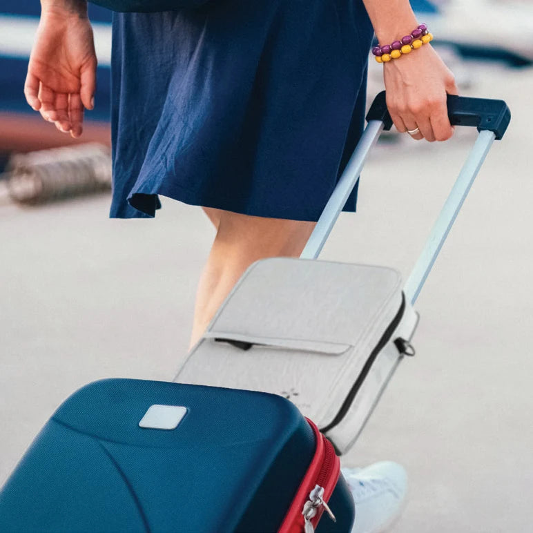 Luna TravelPAP Carrying Case