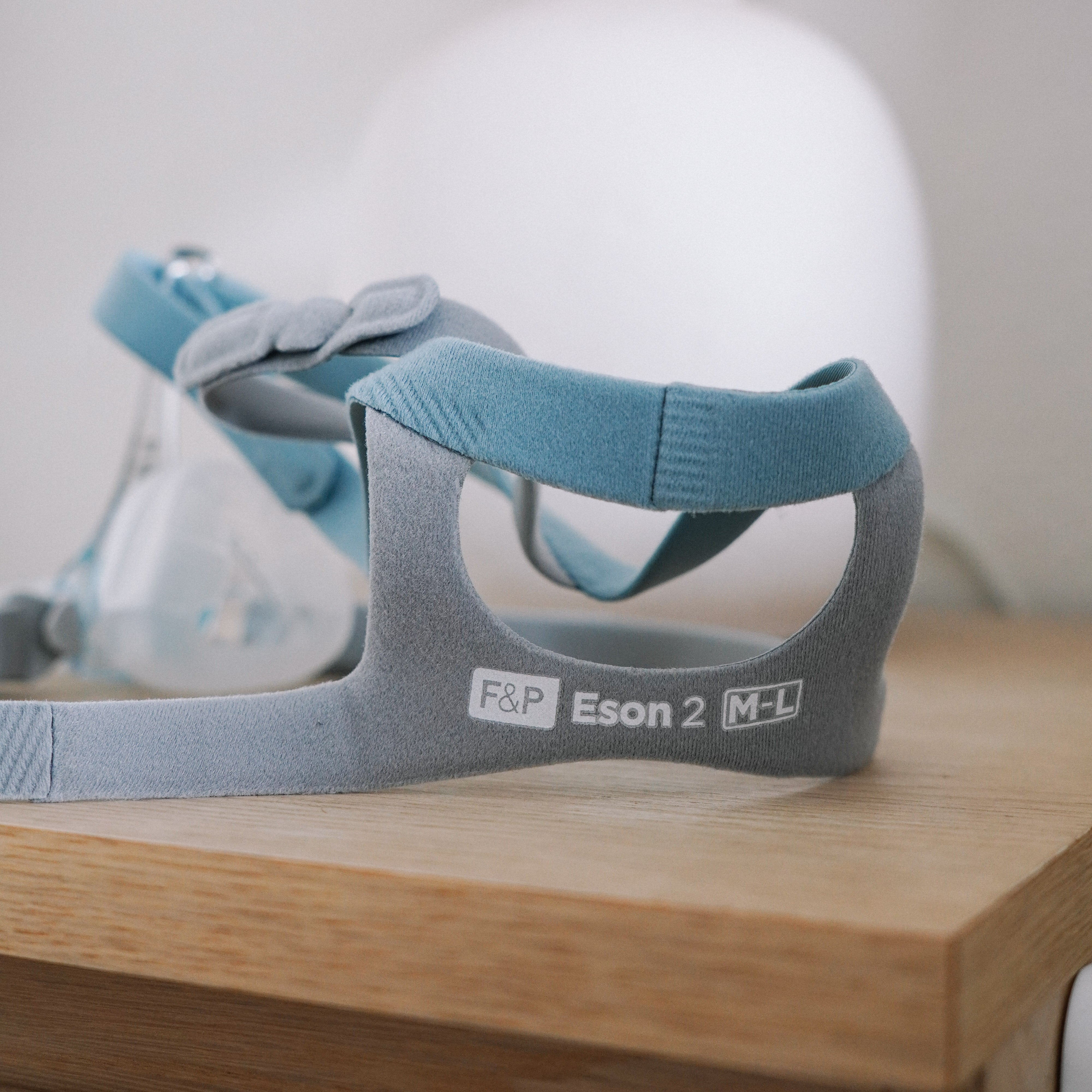 F&P Eson 2 Nasal Mask